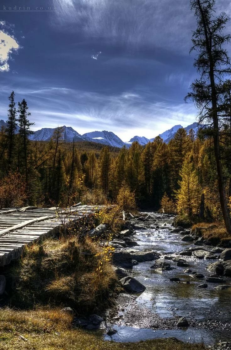 алтай фото природы вертикальные фото