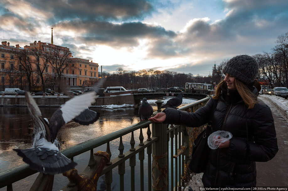 семимостье в санкт петербурге фото