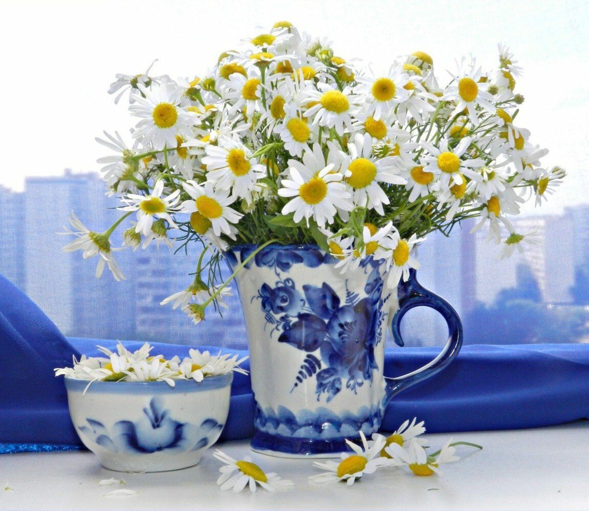 ������� � ������� �������� ������ ���� ��� �������� �����