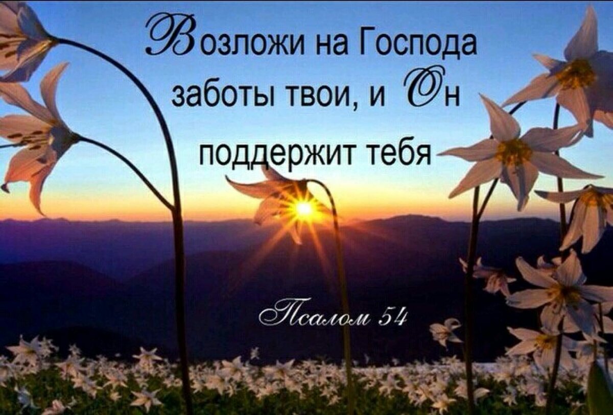 ������������ �������� � ���������, ���� ���