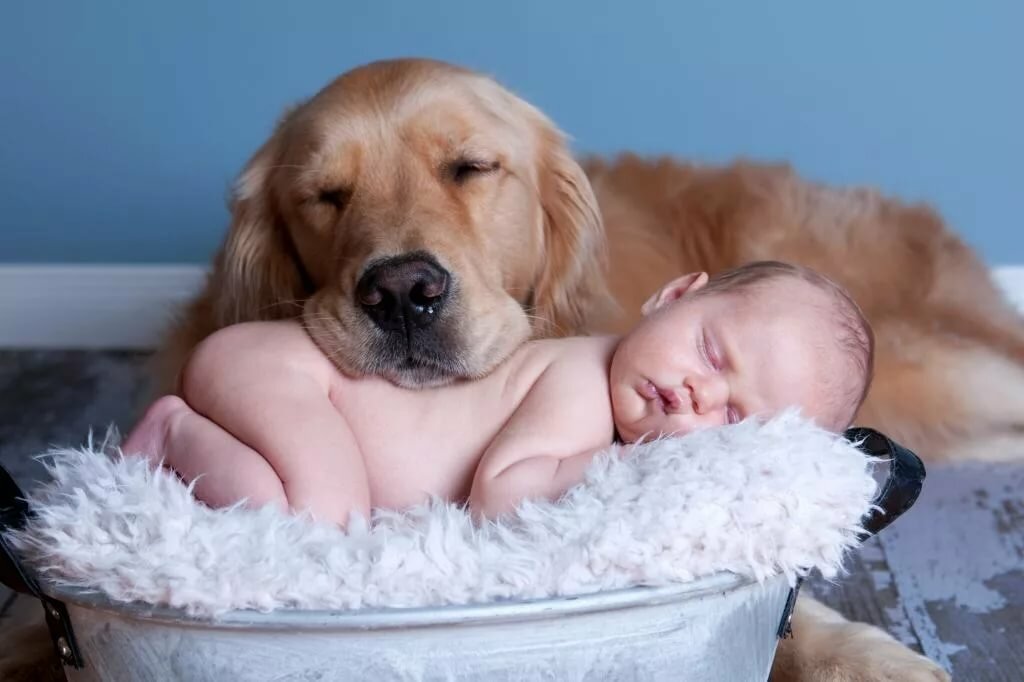 ������, ���������� �������� ��� �������� ����� ����