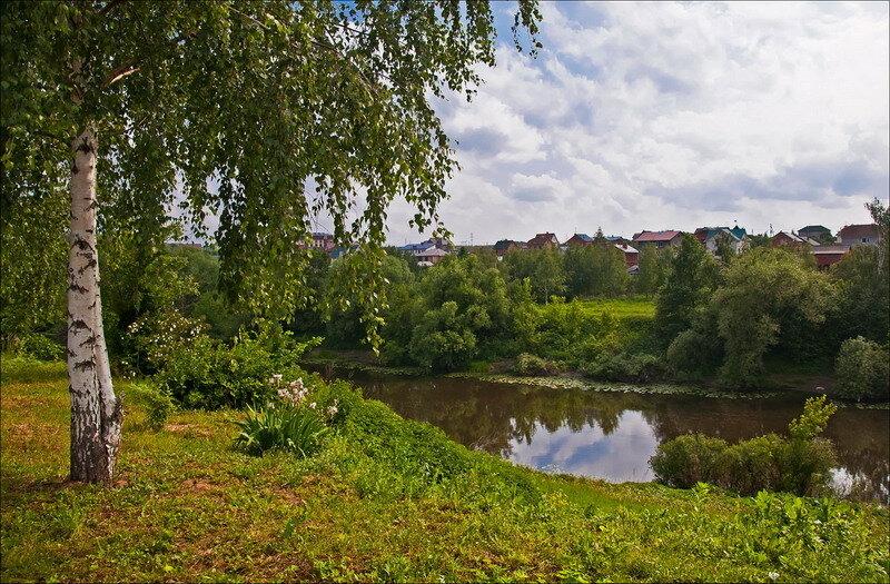 березы река деревня фото