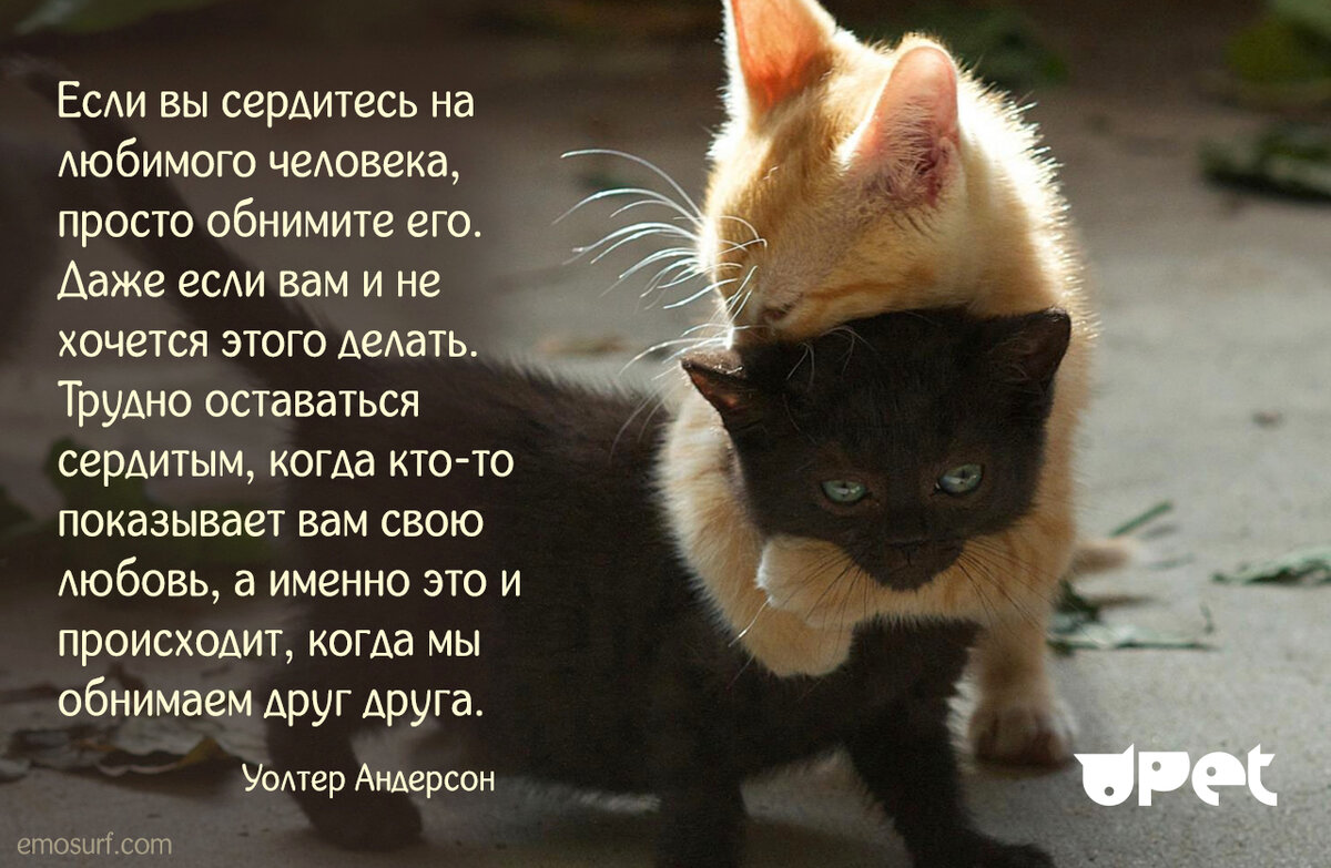 Картинки с надписью не злись на меня