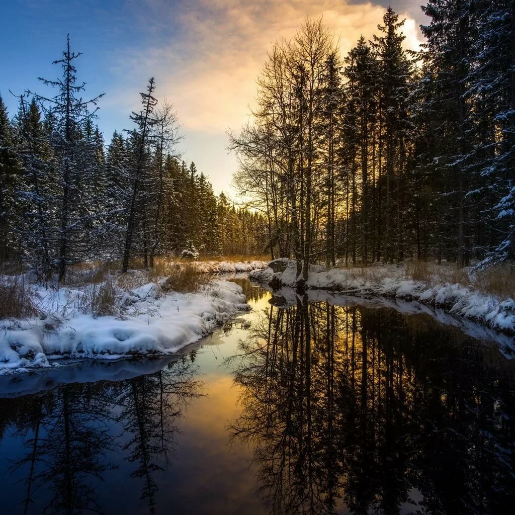 зима лес река фото