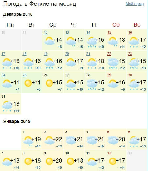 погода питер на месяц фото