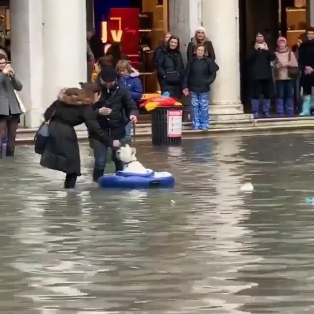 наводнение в венеции фото