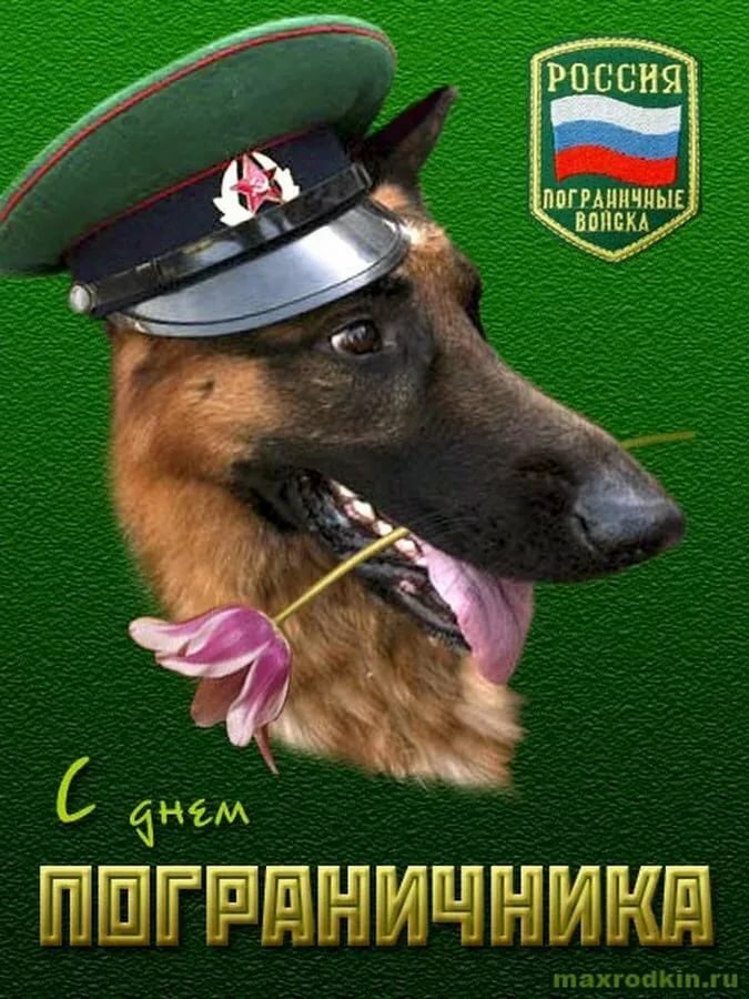 ����������� ������ ���������� ��������, �������� �����