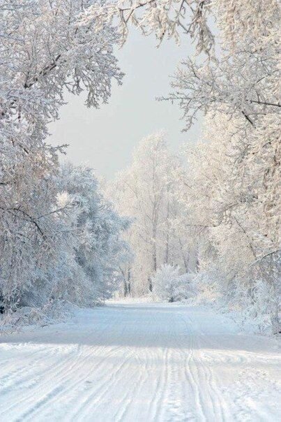 зима снег фото