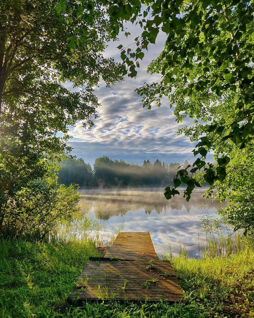 пейзажи природы фото
