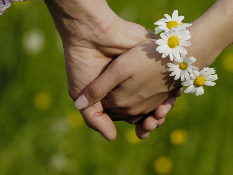 �������� � ����� � �������� ����