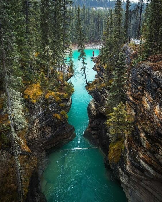 водопад атабаска канада фото