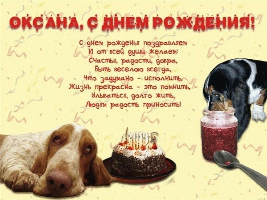 ���� ������ ������������ ��������