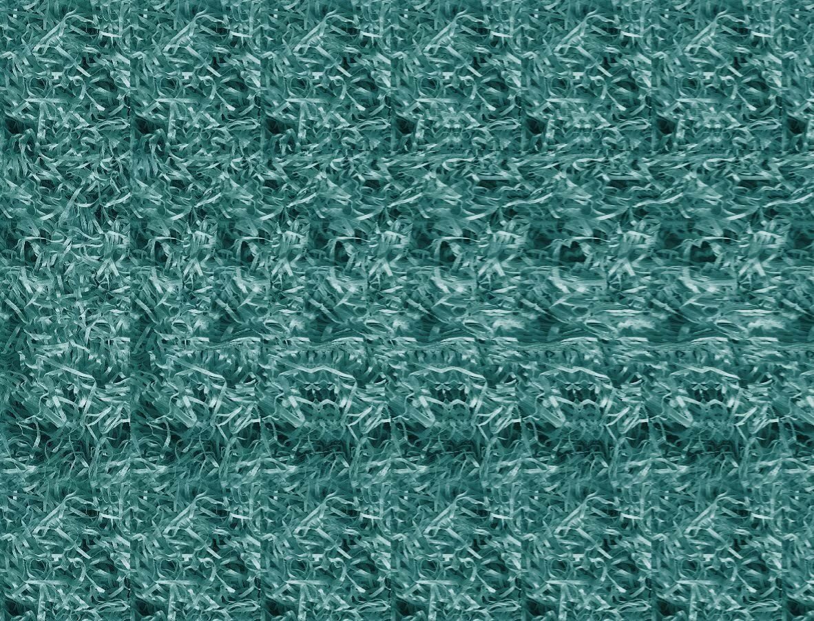 ��� ����� 3� ��������