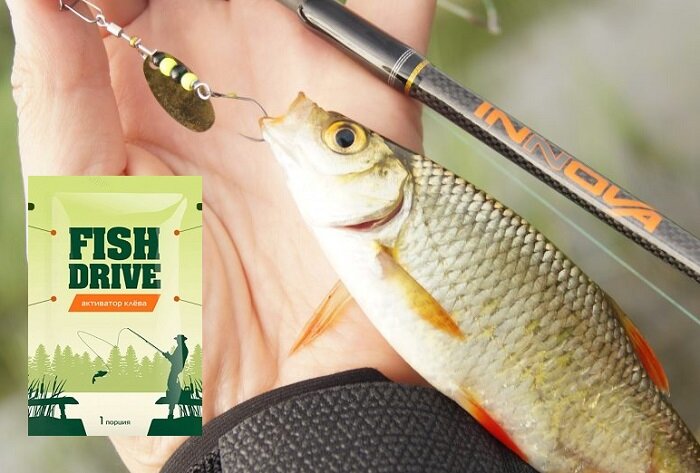 fish drive фото