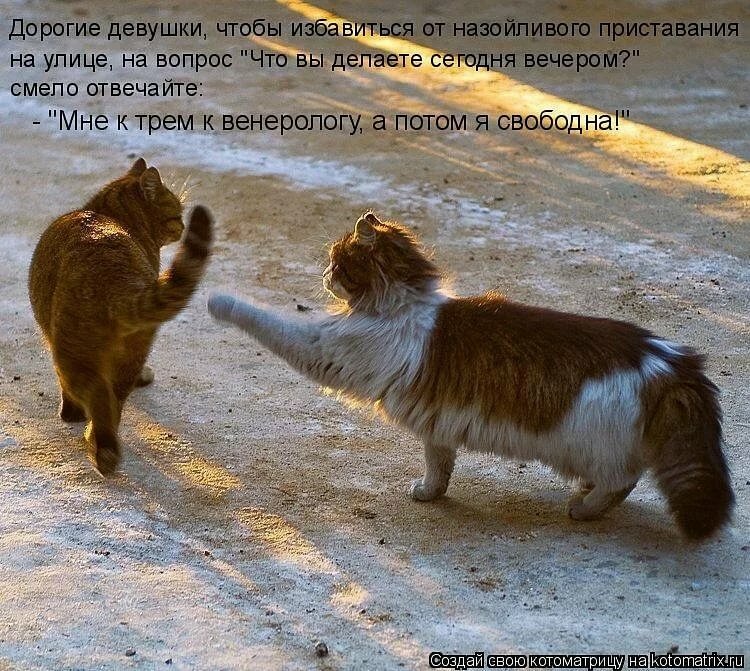 ��������� ���������� ���� � ���������� ��������