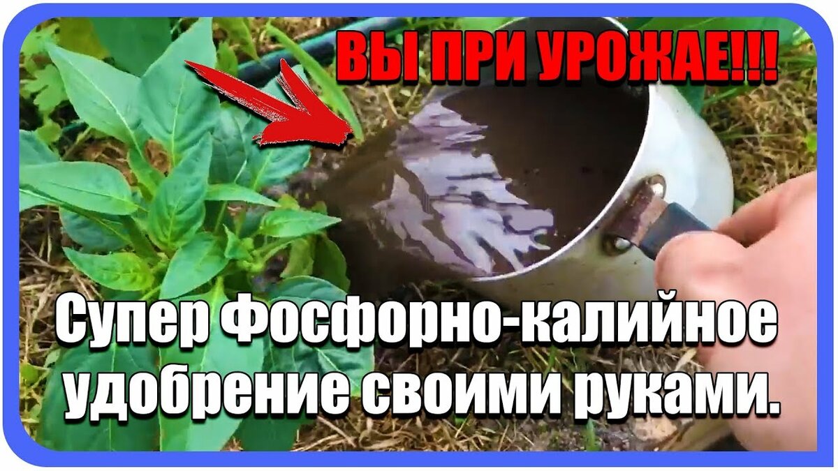 калийное удобрение своими руками