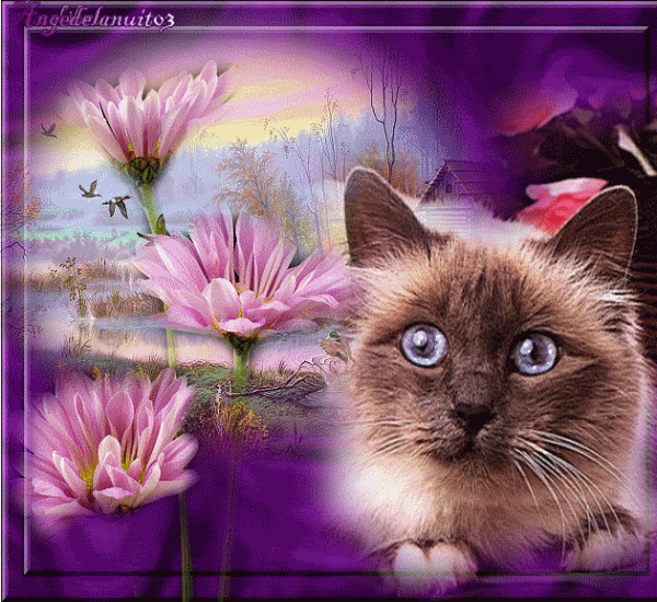 �������, �������� � ������� ��������