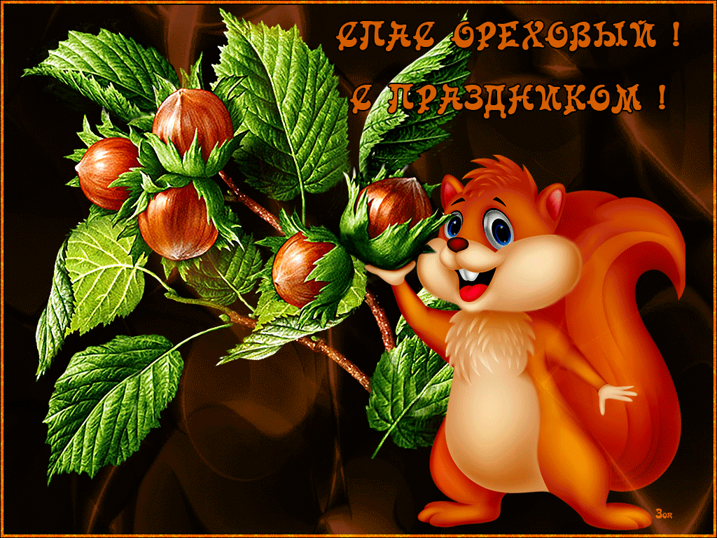 ���� �������� ��������, �������� ����