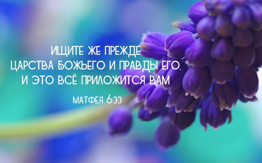 ���� ������ �� ������ � ��������� ��� ���������