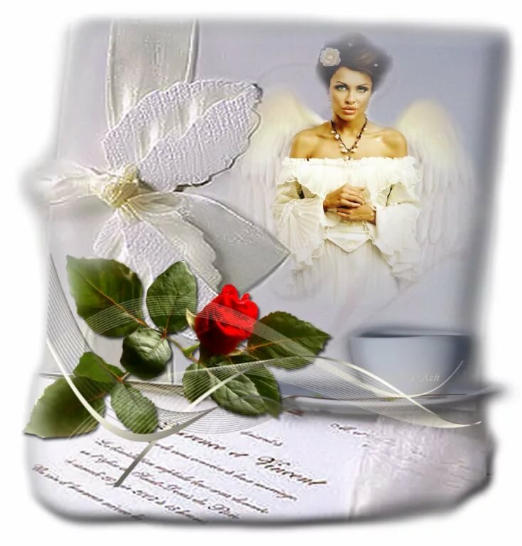 ������ ���������, ������� �������� � ������ ��� �������