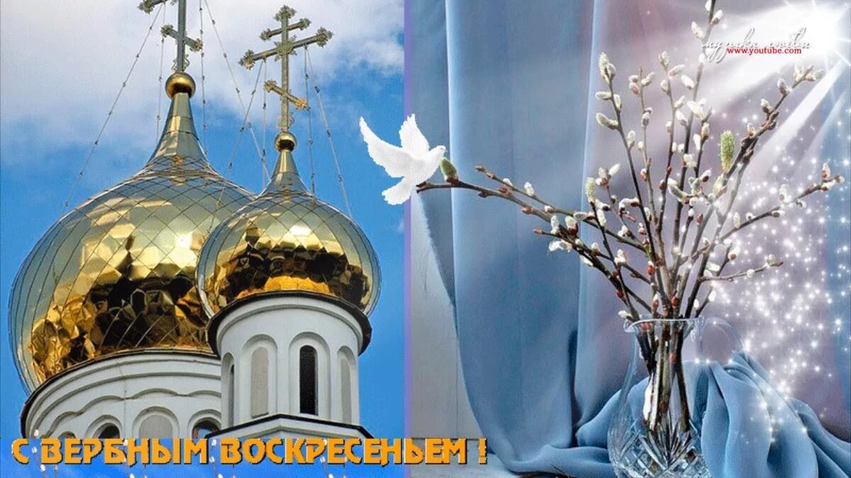 �����������, ������� ����������� 2017 ���� ��������