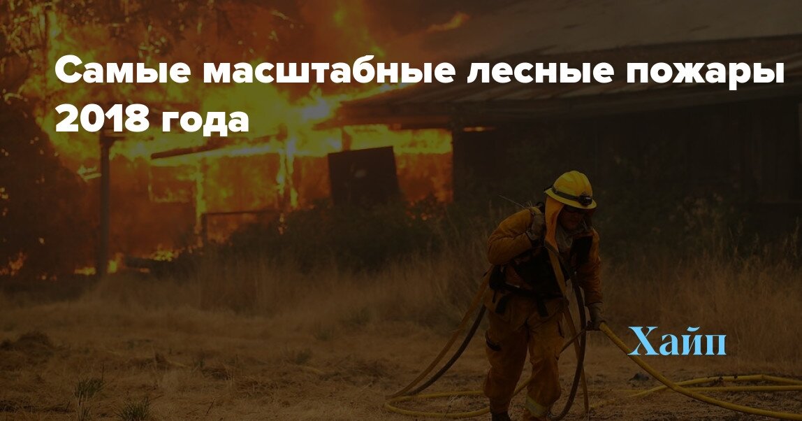 лесные пожары 2018 года фото