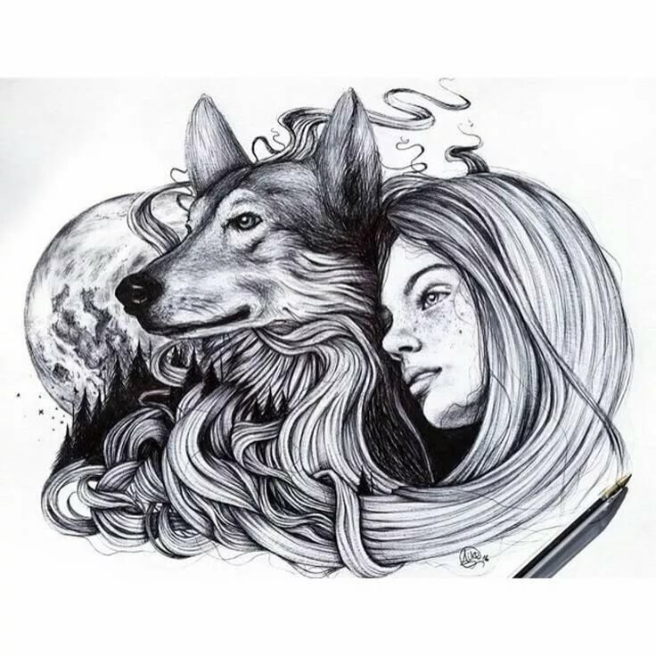 Картинка нарисованная карандашом девушка и волк
