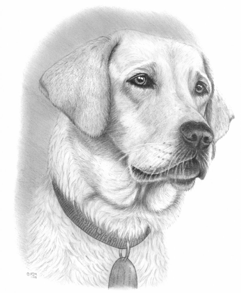 ������� ������� ���������� �������� ������, ������ ������ �����