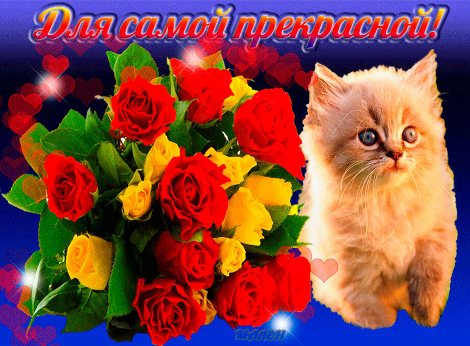 ��������� ������� ��������