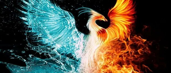 34 карточки в коллекции &laquo;Птица Феникс&raquo; пользователя Татьяна С. в  Яндекс.Коллекциях