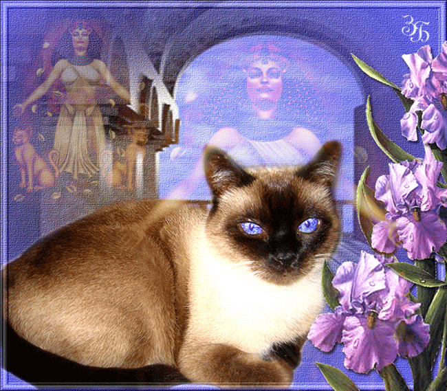 �������� � ������� ��������, ������� ��������