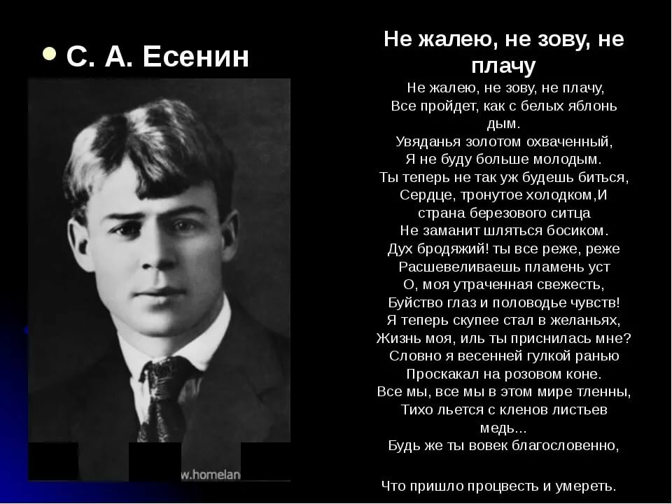 стихи есенина фото