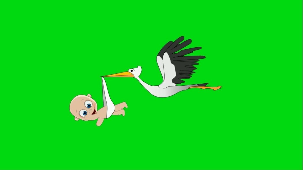 futazh-dlya-videomontazha-aist-trahaet-krasivuyu-prihozhuyu-telochku