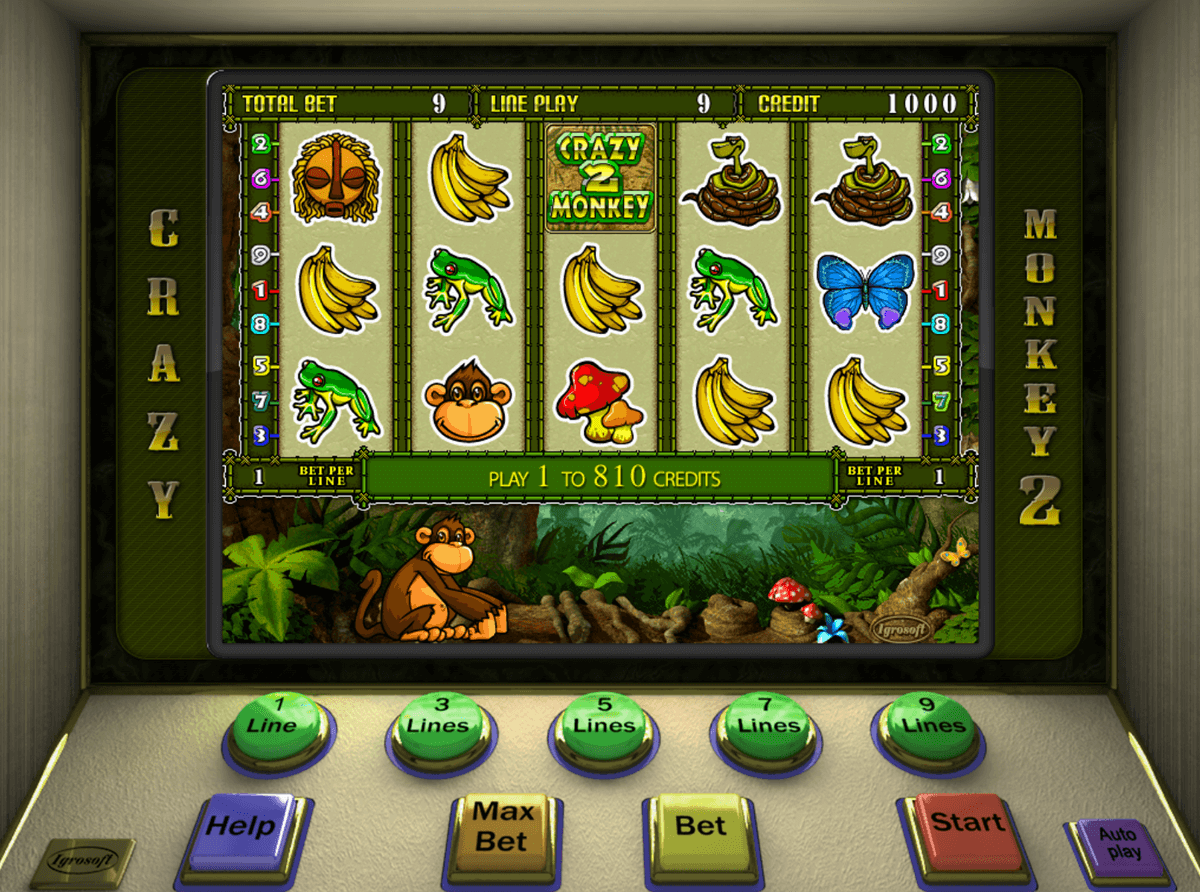 crazy monkey игровые автоматы онлайн бесплатно