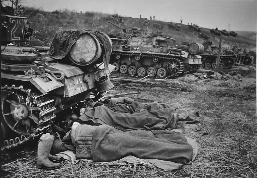 5-й танковой дивизии сс викинг фото