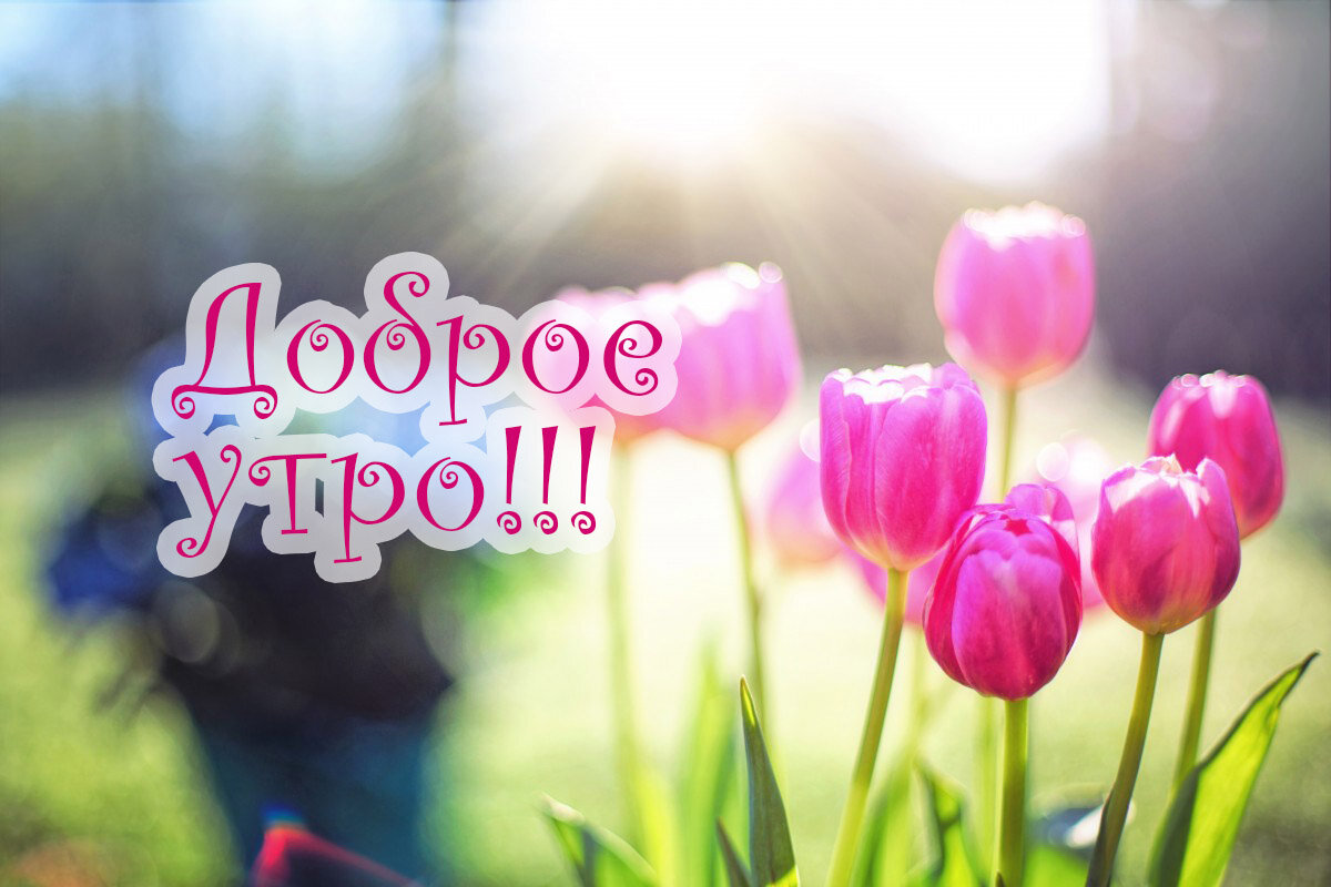 Весеннее картинки с добрым утром