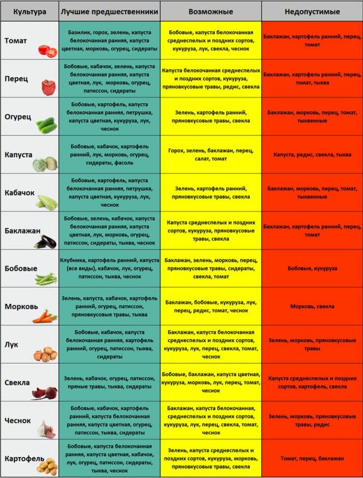 размещение овощных культур на почвах