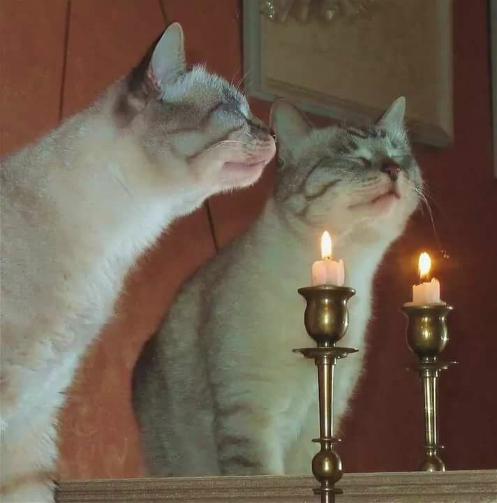 �� ��� � ������� �������� � ������