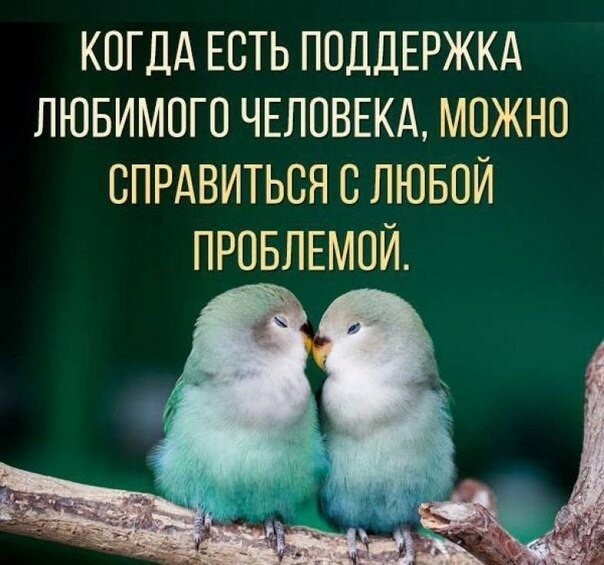 �������� ��������� �������� �������� � ������� ������