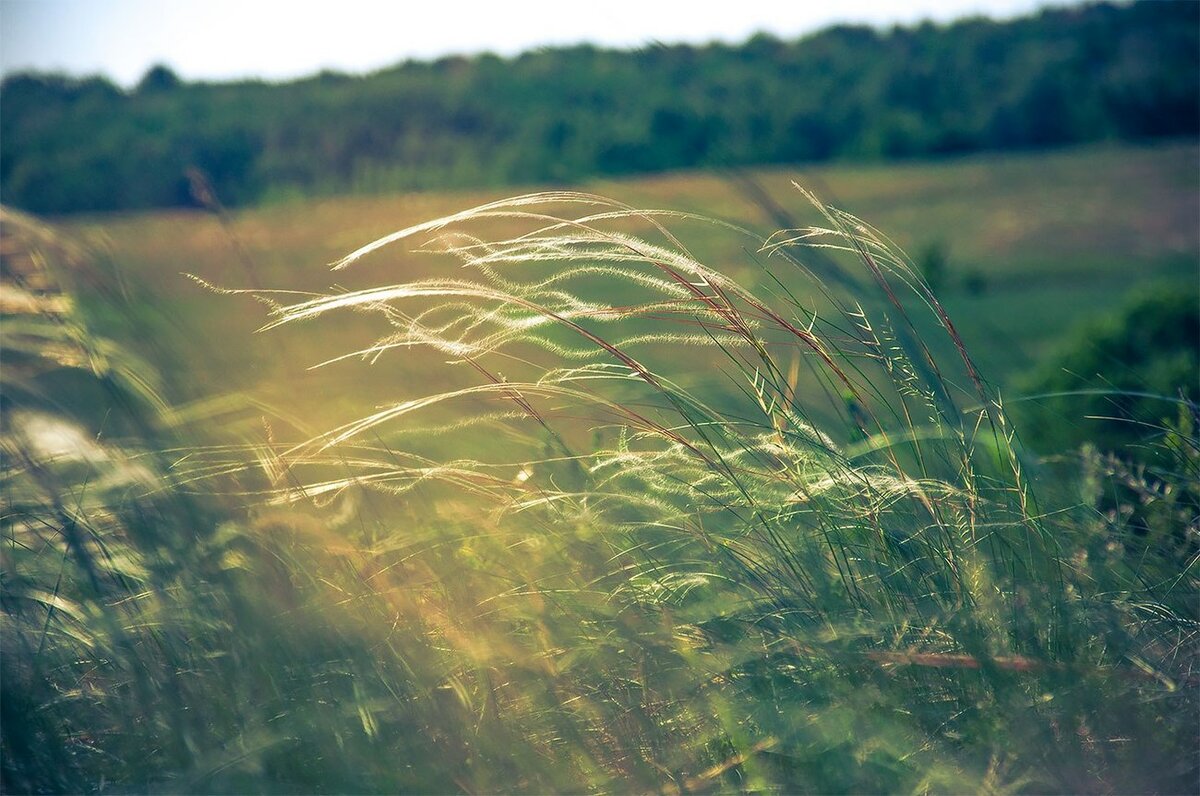 Картинки об ветре