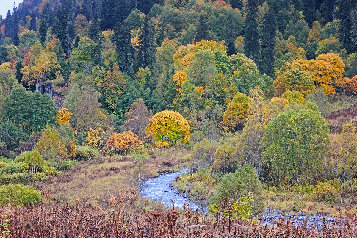 ала арча осень фото