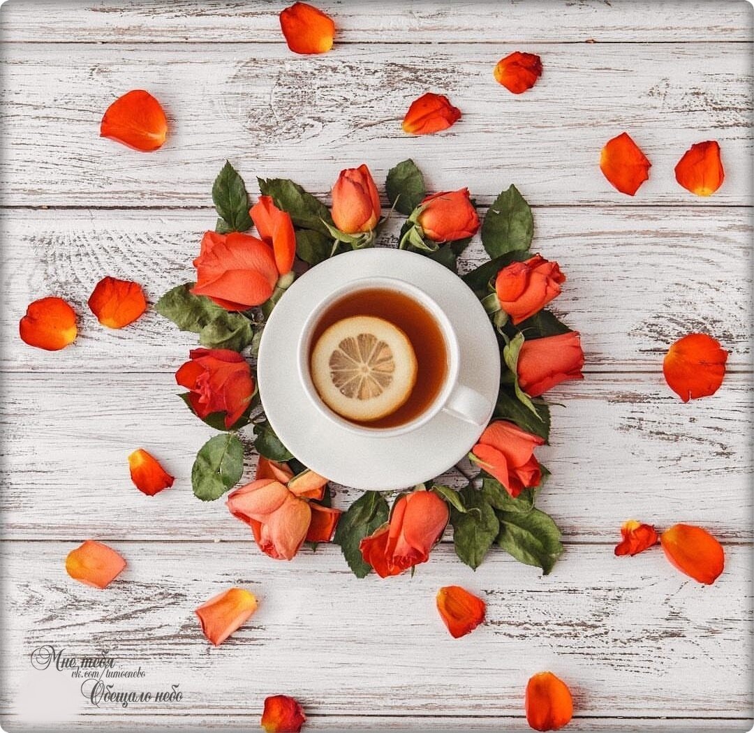 �������� ������ �������������