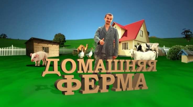 ферма фото