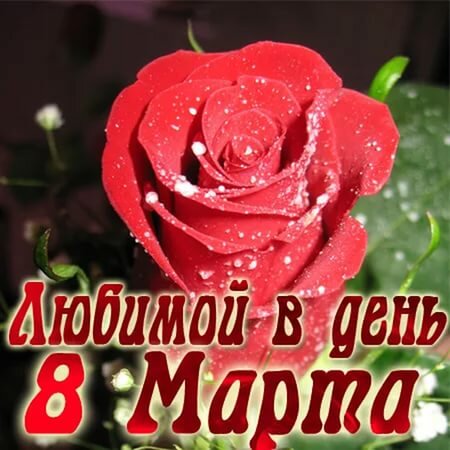 � 8 ����� ��� ������� ��������, �������� ������� ����������