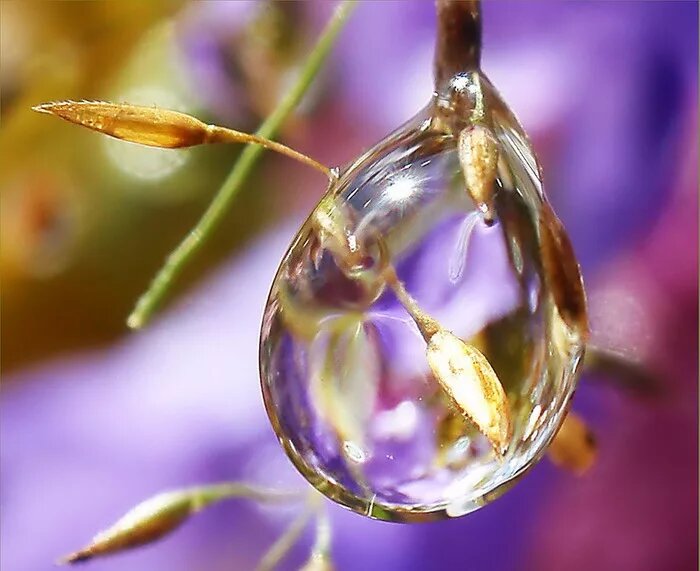 ��������� ���������������, �������� �������� �������� ������� ��� �������� ����