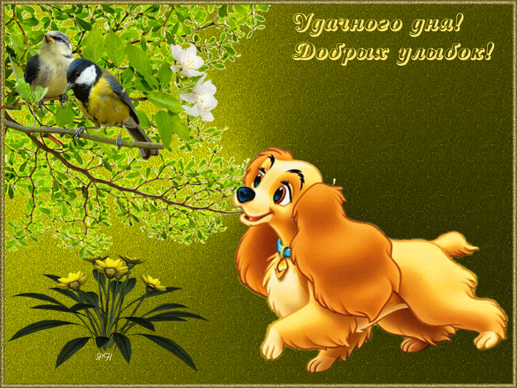 �������� �� � �����