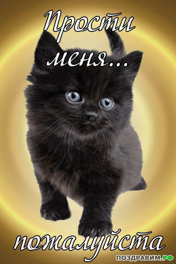 ������ ���� ���� �������� ����