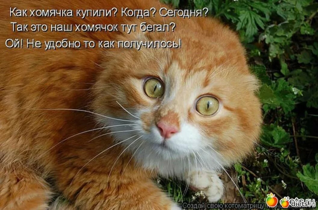 �������� ������� ������ ��� ��� ������