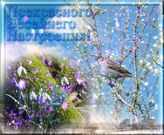 ����������� ��������� ���������� ��������