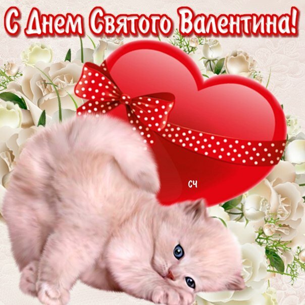 �������� ����, �������� � ��� ������� ���������